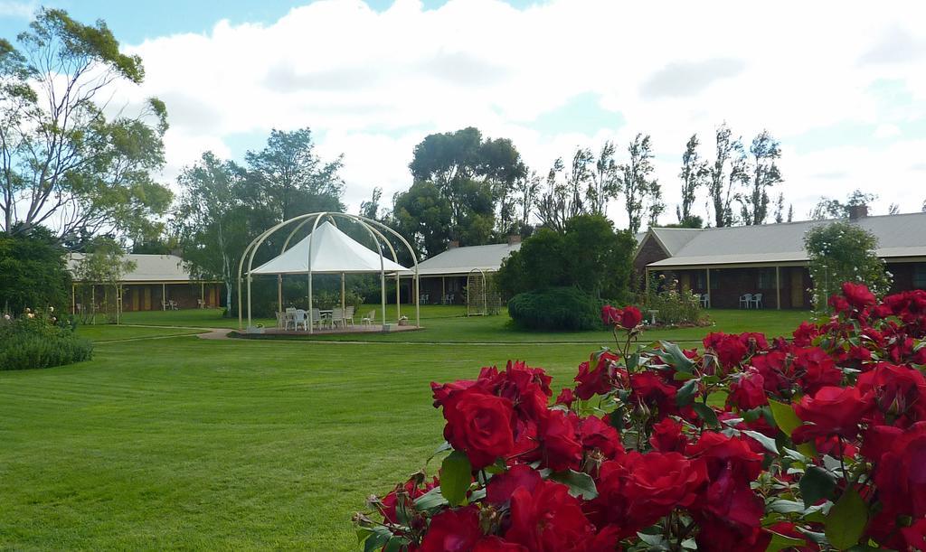 Coonawarra Place Motor Inn מראה חיצוני תמונה
