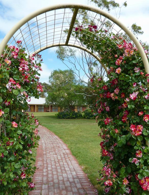 Coonawarra Place Motor Inn מראה חיצוני תמונה
