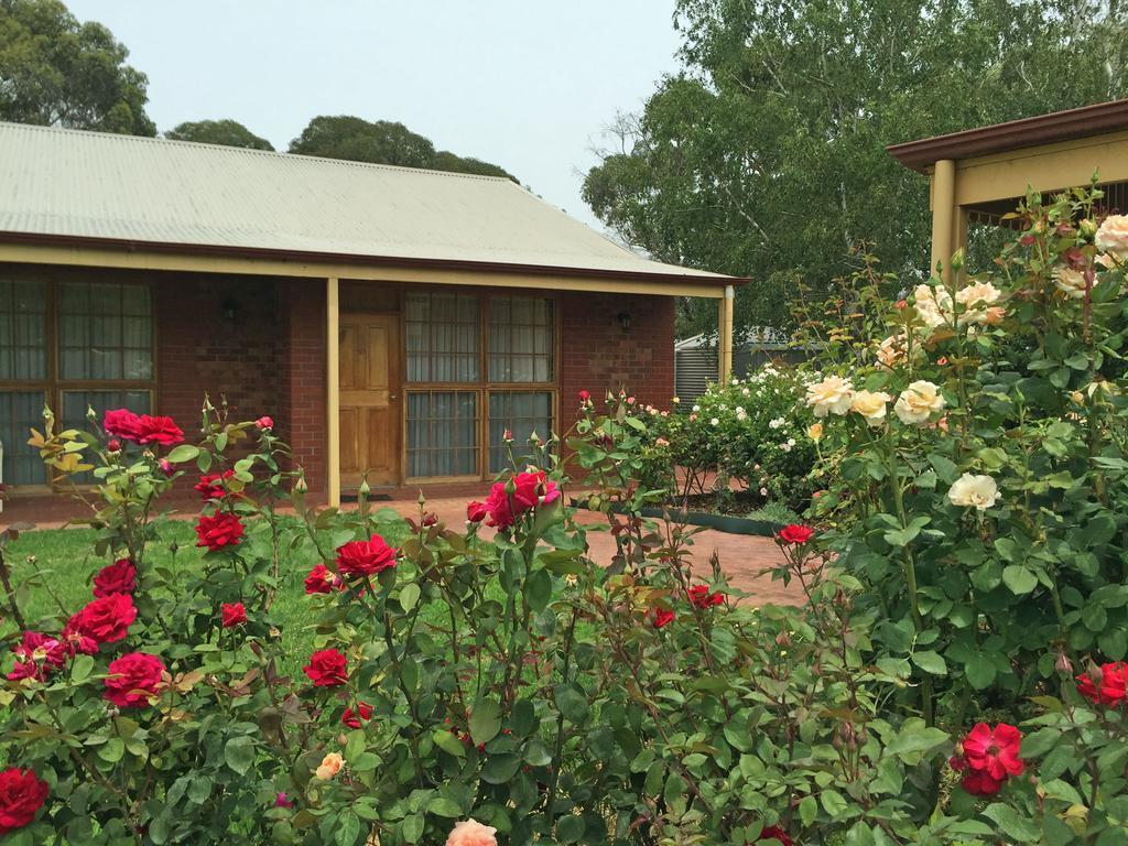 Coonawarra Place Motor Inn מראה חיצוני תמונה