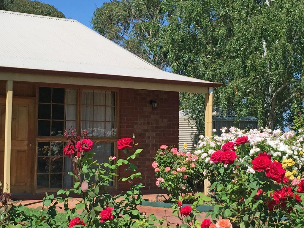 Coonawarra Place Motor Inn מראה חיצוני תמונה