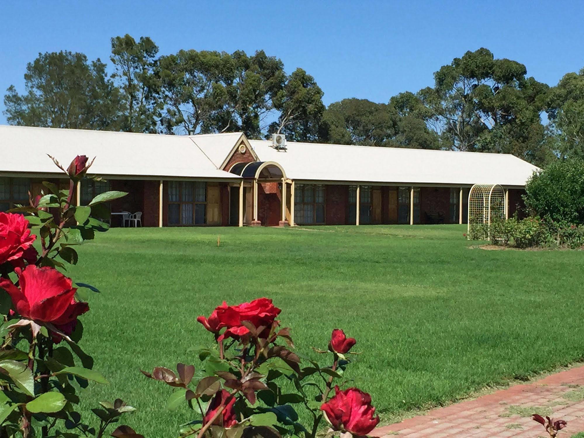 Coonawarra Place Motor Inn מראה חיצוני תמונה