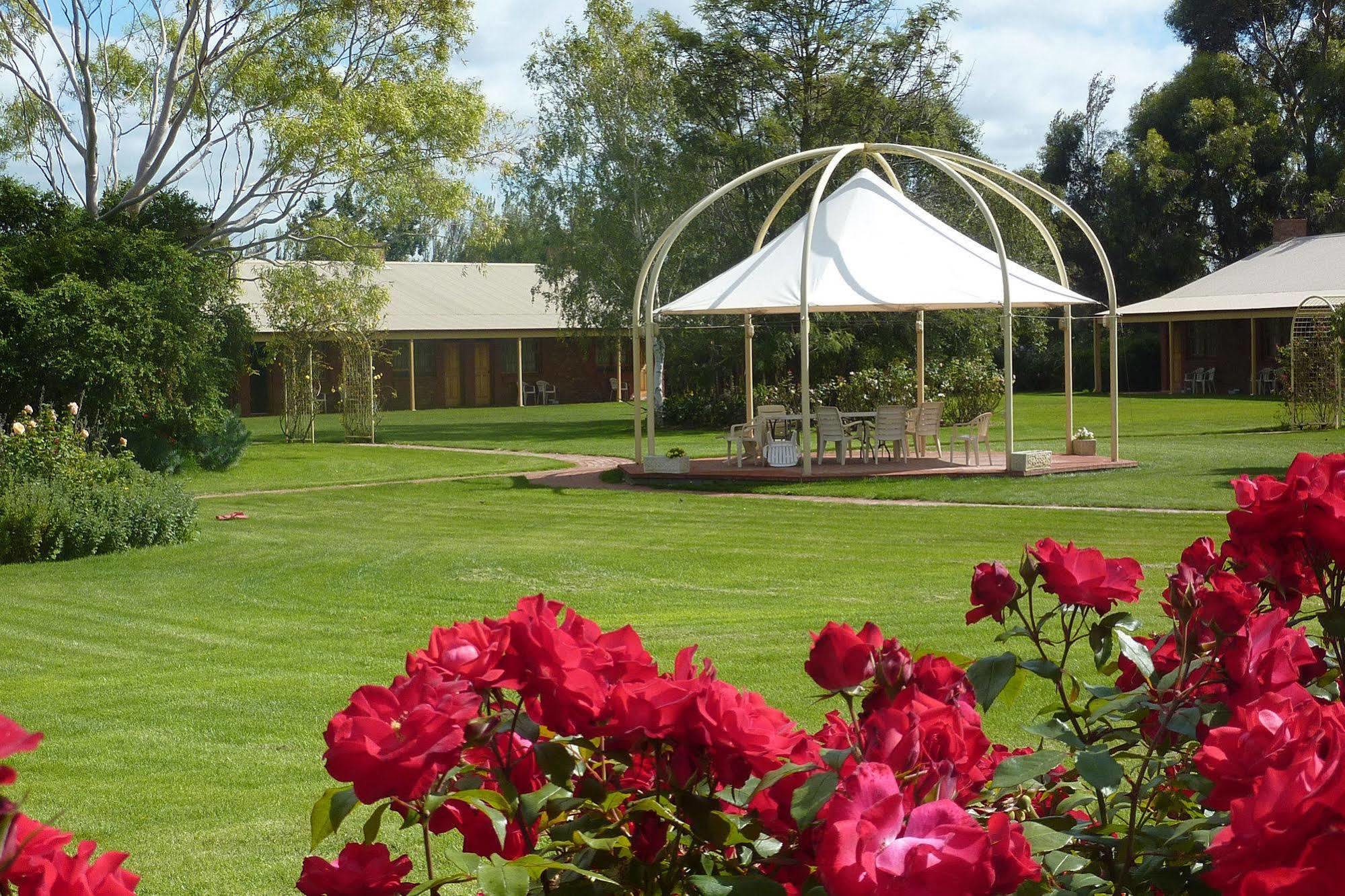 Coonawarra Place Motor Inn מראה חיצוני תמונה