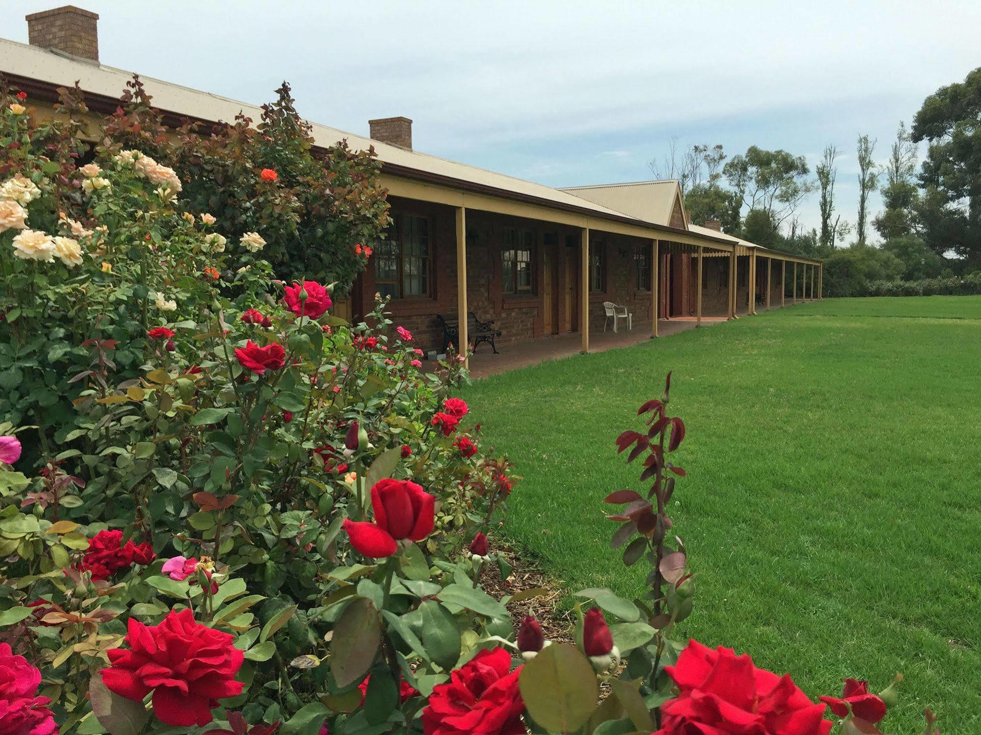 Coonawarra Place Motor Inn מראה חיצוני תמונה