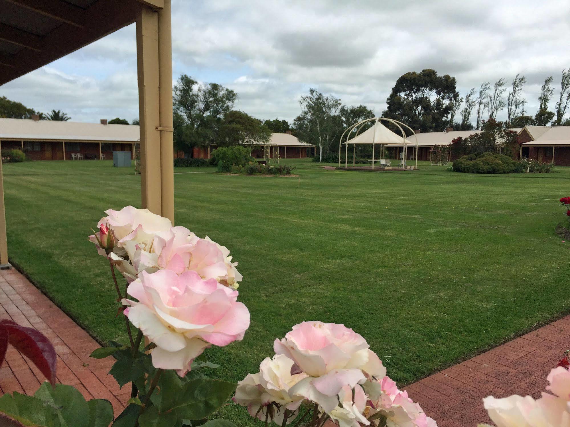 Coonawarra Place Motor Inn מראה חיצוני תמונה