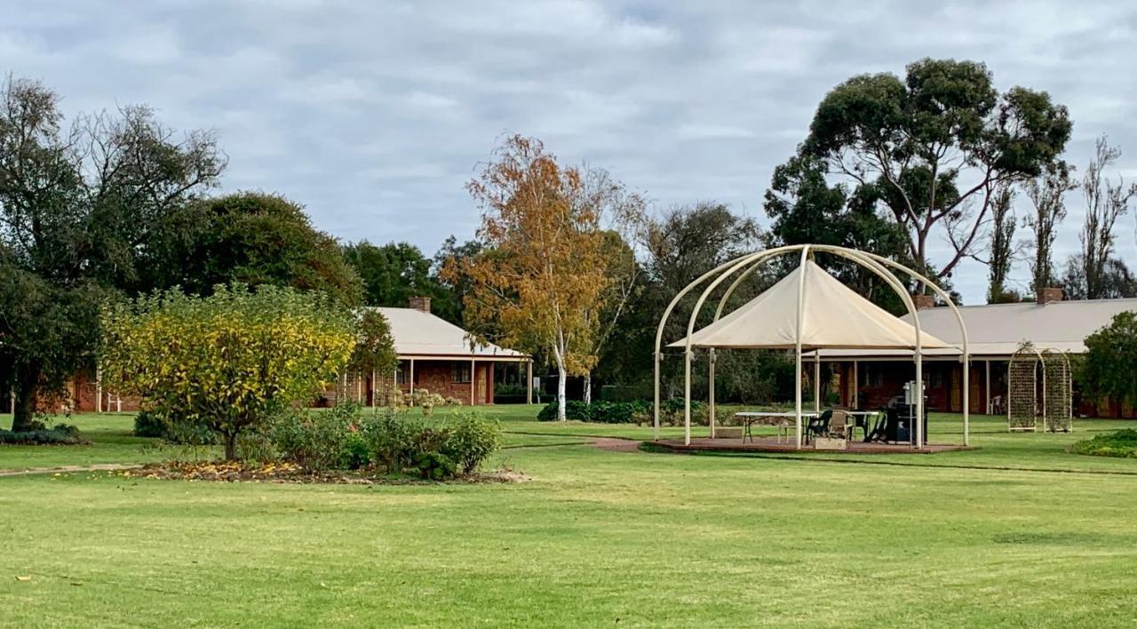 Coonawarra Place Motor Inn מראה חיצוני תמונה